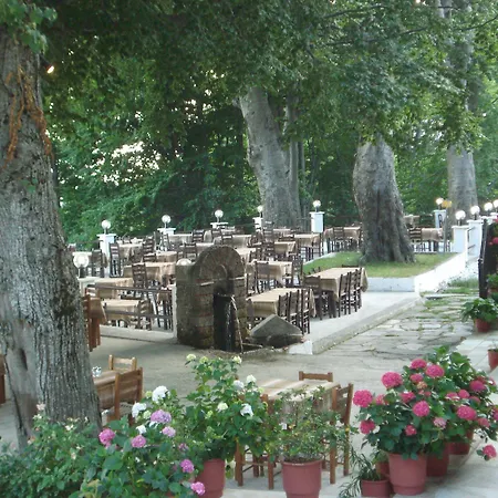 Hani Zisi