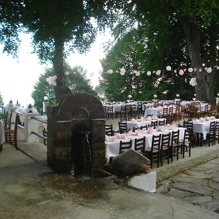 Hani Zisi