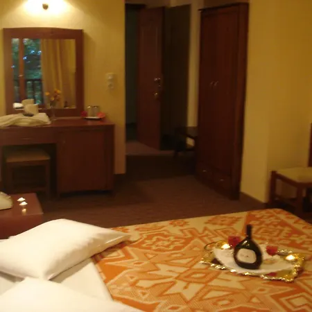 호텔 Hani Zisi 카니아