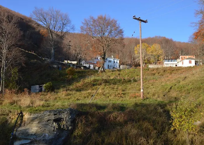 Hotel Hani Zisi Chania (Thessaly)